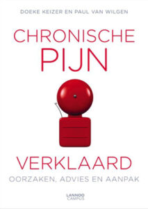 chronische pijn verklaard boek