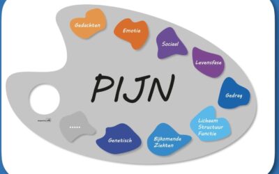 Het pijnpalet: grip op factoren die jouw pijn beïnvloeden