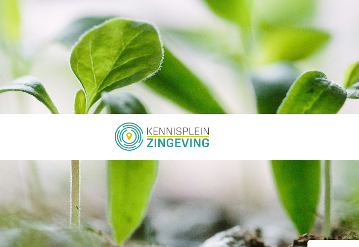 Afronding van het onderzoek: ‘Aandacht voor zingeving bij mensen met chronische pijn door fysiotherapeuten en ergotherapeuten.’